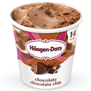 Häagen-Dazs Chocolate Chocolate Chip Ice Cream