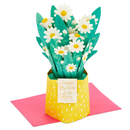 Hallmark Paper Wonder Displayable Pop Up Mothers Day Card for Mom (Daisy Bouquet) #13