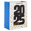 Hallmark 13" Large Graduation Gift Bag (Class of 2025)